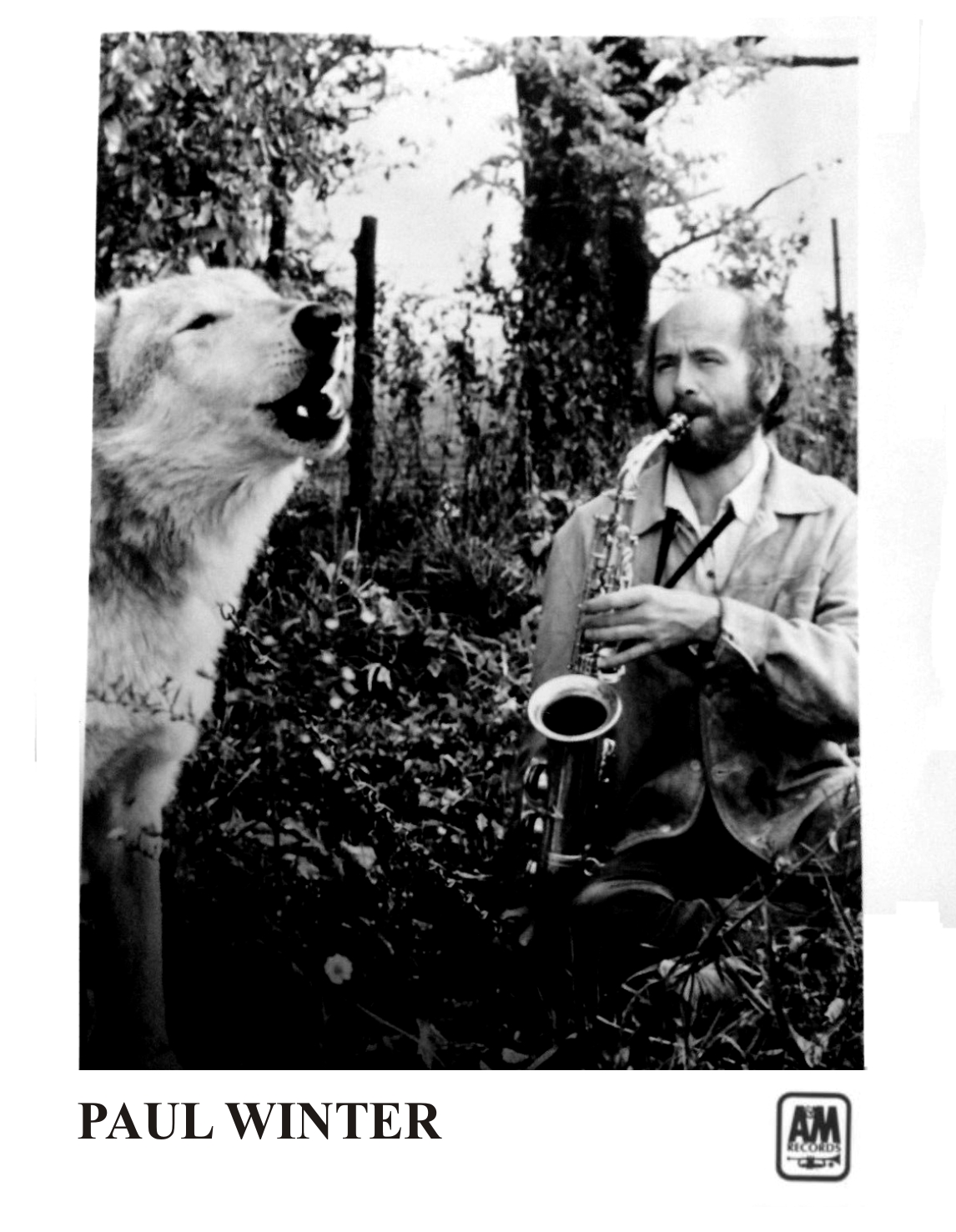 Paul Winter On A&M Records